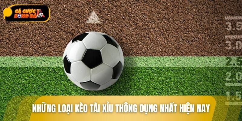 Những loại kèo tài xỉu thông dụng nhất hiện nay